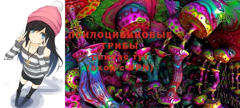 МЕГА маркетплейс  Нахабино  Галлюциногенные грибы Magic Shrooms  магазин продажи  